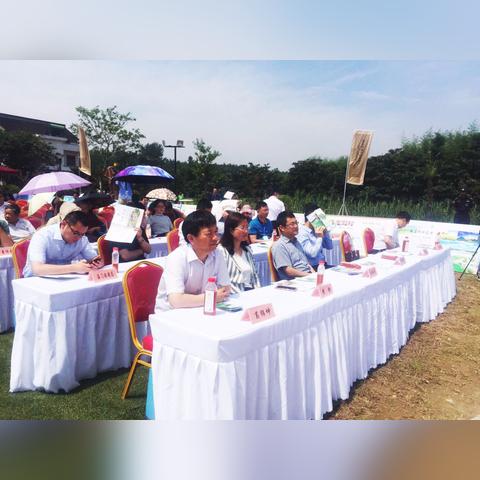 南通市历史文化村在哪里