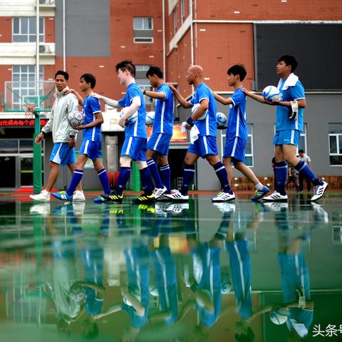 足球专用球官方售价多少