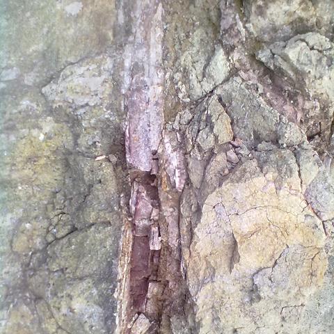 潍坊市氧化塘的长尾关键词有哪些