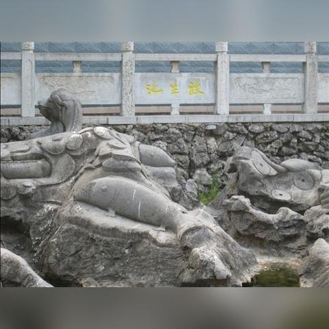 桂林市哪里有放出来的动物