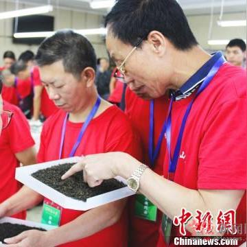 福建名茶代购怎么样啊