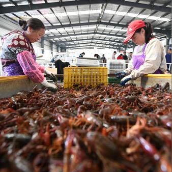 潜江到厦门的相关长尾关键词有哪些