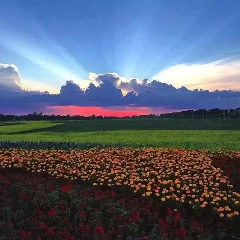 吉林长春市九台市儿童摄影的长尾关键词有哪些