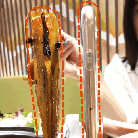 成都市磨芋苗养殖基地在哪里