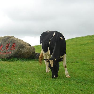 桂林南山学院招生电话相关长尾关键词有哪些