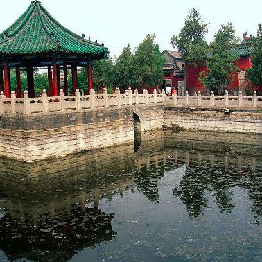 一招学会紫微斗数，太岁地支这样用准没错