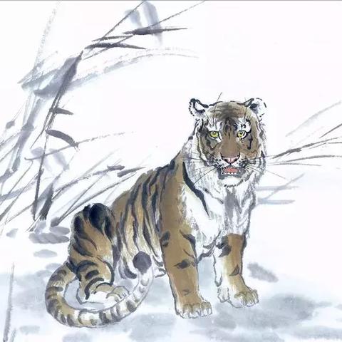 伤官为什么会生财(伤官为什么聪明)