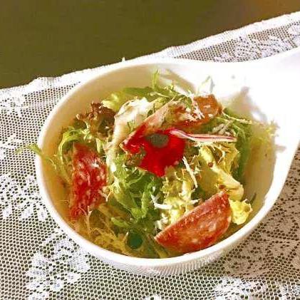 广州大学城的所有学校有哪些？