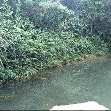 重庆到九寨怎么样坐车