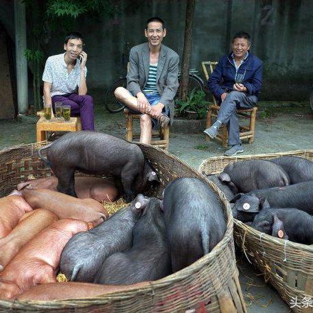 拍打屁股养生工具百度长尾关键词有哪些