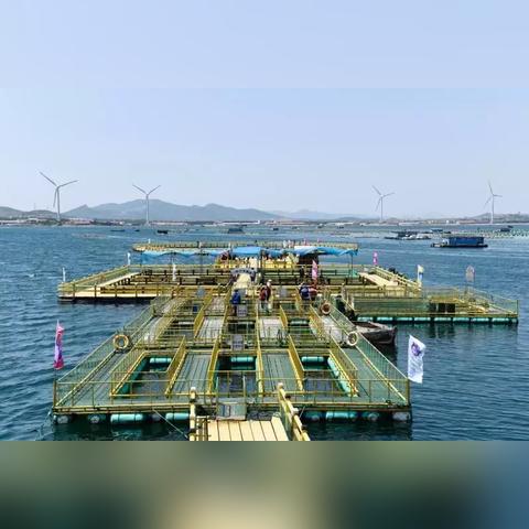 沈阳群耕相关长尾关键词有哪些