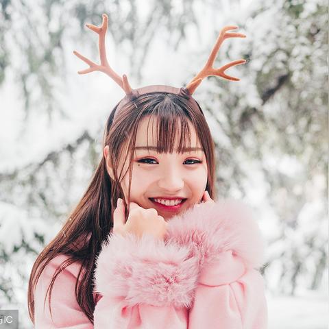 石家庄市冰糕进货去哪里