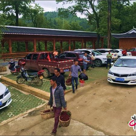 长沙到城步的汽车相关长尾关键词有哪些