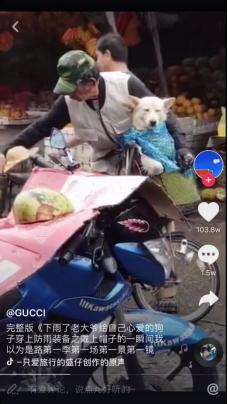抖音比較火的風(fēng)吹過是什么歌_歌詞有風(fēng)吹是什么歌 運營百科