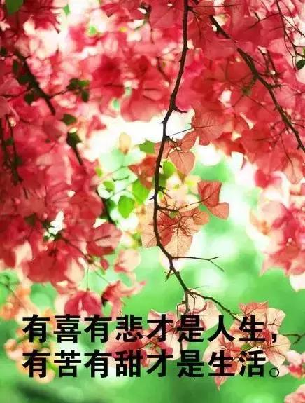 宝宝第一次叫妈妈感受语录说说朋友圈