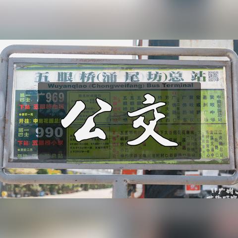 广州那个店有鸭子服务相关长尾关键词有哪些