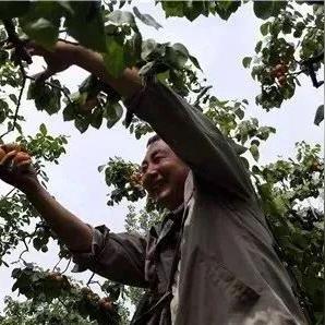 济南  十月  采摘相关长尾关键词有哪些