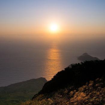 福建哪里可以喂海鸥？