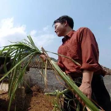 崇左跨境电商托管如何做