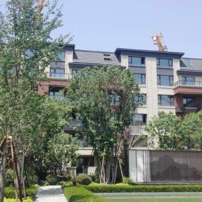 沈阳酱紫相关长尾关键词有哪些