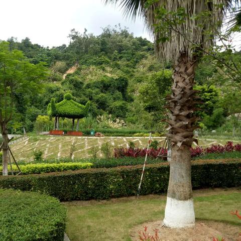 厦门市运动品牌店电话多少