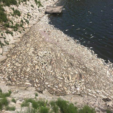 大连市附近鱼塘在哪个位置