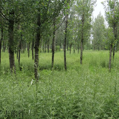 济南市什么湖泊