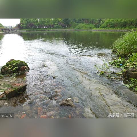 陕西西安市水费怎么交