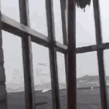 广东佛山市西樵天气预报的长尾关键词有哪些