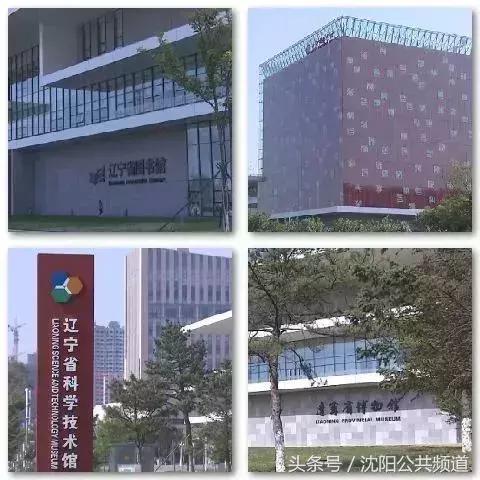 沈阳市游泳队怎么样啊知乎