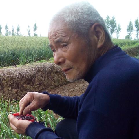 河南哪个季节种地