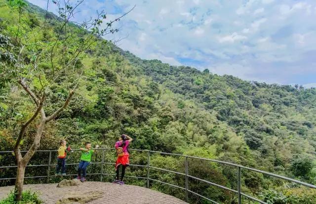 清远风景区旅游景点排行:必游之地揭秘