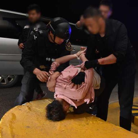 福建犬场的相关长尾关键词有哪些