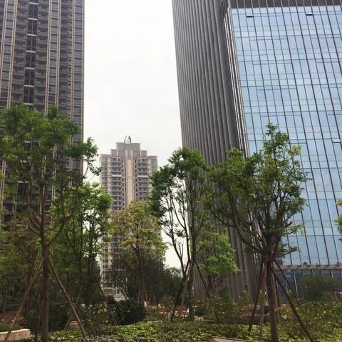 广州市什么潭