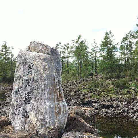 哈尔滨天地仁医药相关长尾关键词有哪些