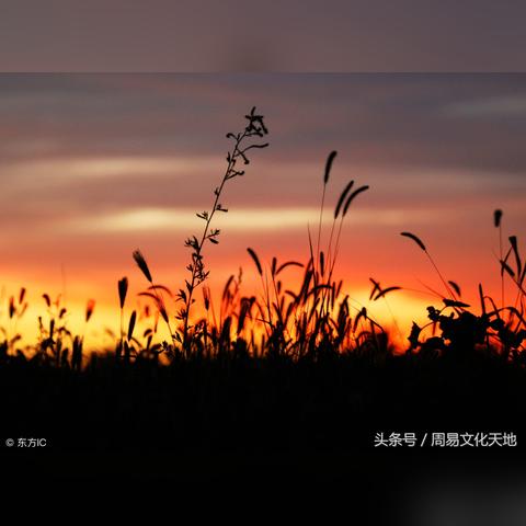 怎么看八字喜忌口诀表_怎么看八字命盘(如何看八字喜忌)