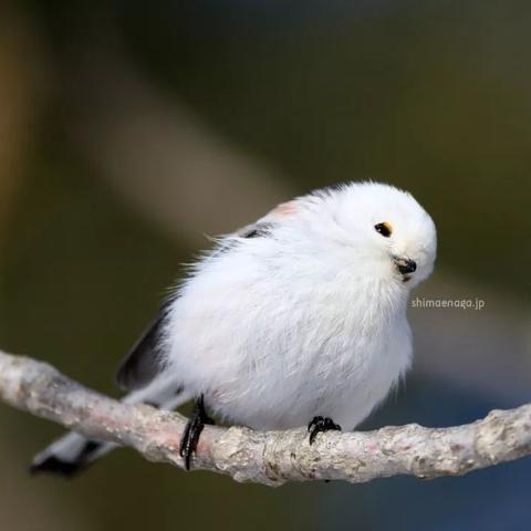 反驳人工智能摧毁人类的相关长尾关键词有哪些