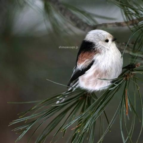 保定市水灰厂路口在哪里的长尾关键词有什么