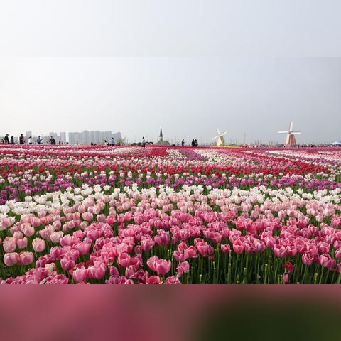 南通哪里有户外婚礼场地相关长尾关键词有哪些