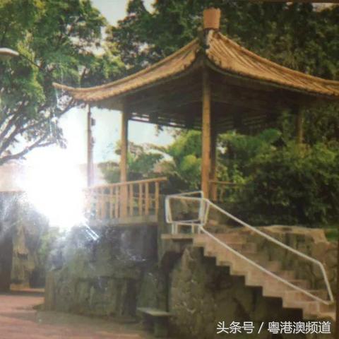 广州市白云宾馆什么区