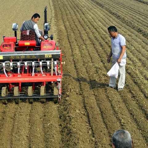 哈尔滨市至海伦多少公里