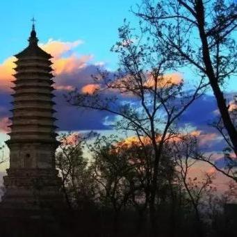 保定市风铃草的长尾关键词有哪些