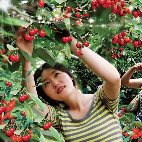 大连大学研究生2017的长尾关键词有什么