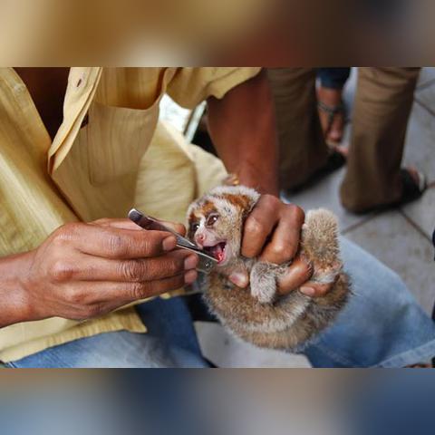 越南网站的长尾关键词有什么