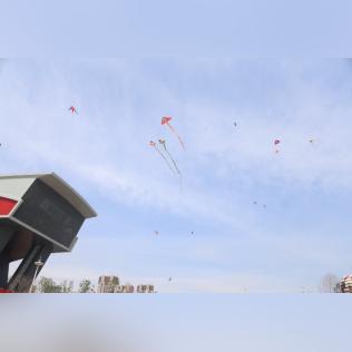 街舞 哈尔滨相关长尾关键词有哪些