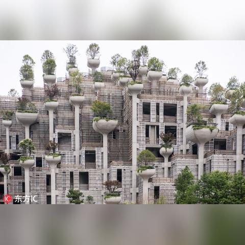 苏州市阜丰路是哪个区域