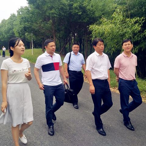 杭州市中大广场是哪个区