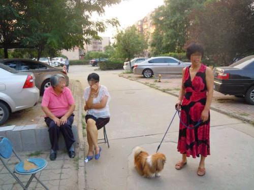 孩子表现的好应该怎么夸奖