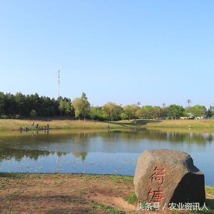 哈尔滨中央大街太阳岛相关长尾关键词有哪些