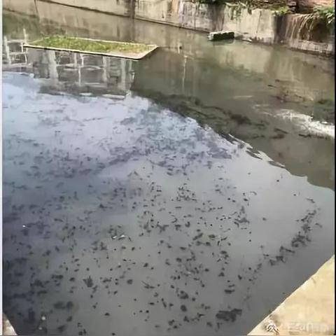 南宁跟东莞哪个综合实力强？